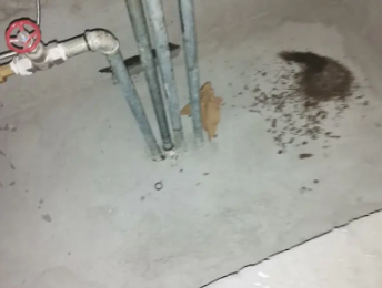 利辛卫生间测漏水价格明细